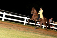 26. 3 & 4 YO Amateur