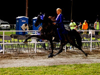 2024 Horse Show Proofs
